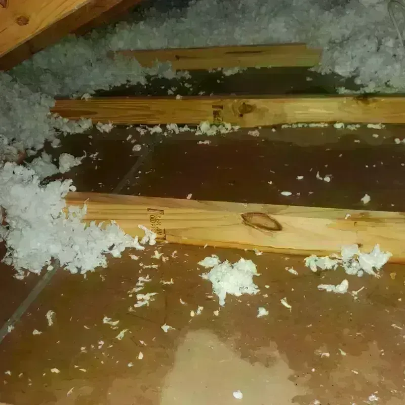 Attic Water Damage in Unity, NH